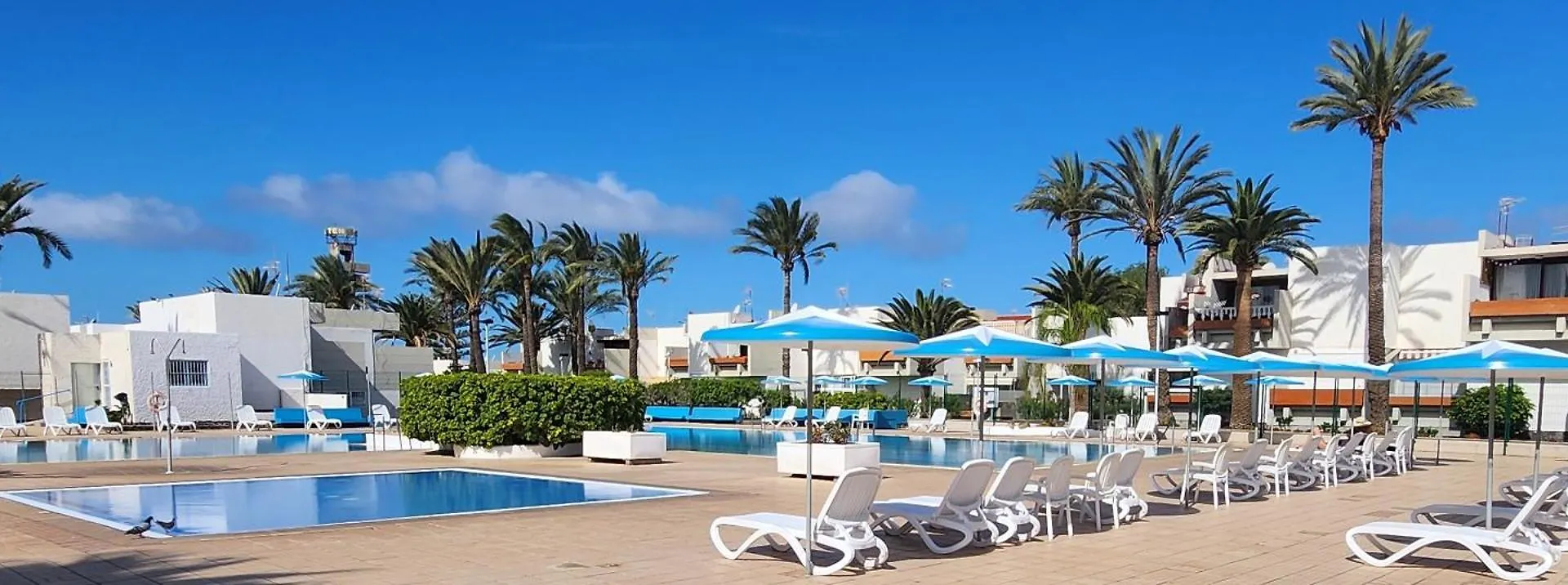 Tenerife Sunshine South Apartment Beach By La Ballena location