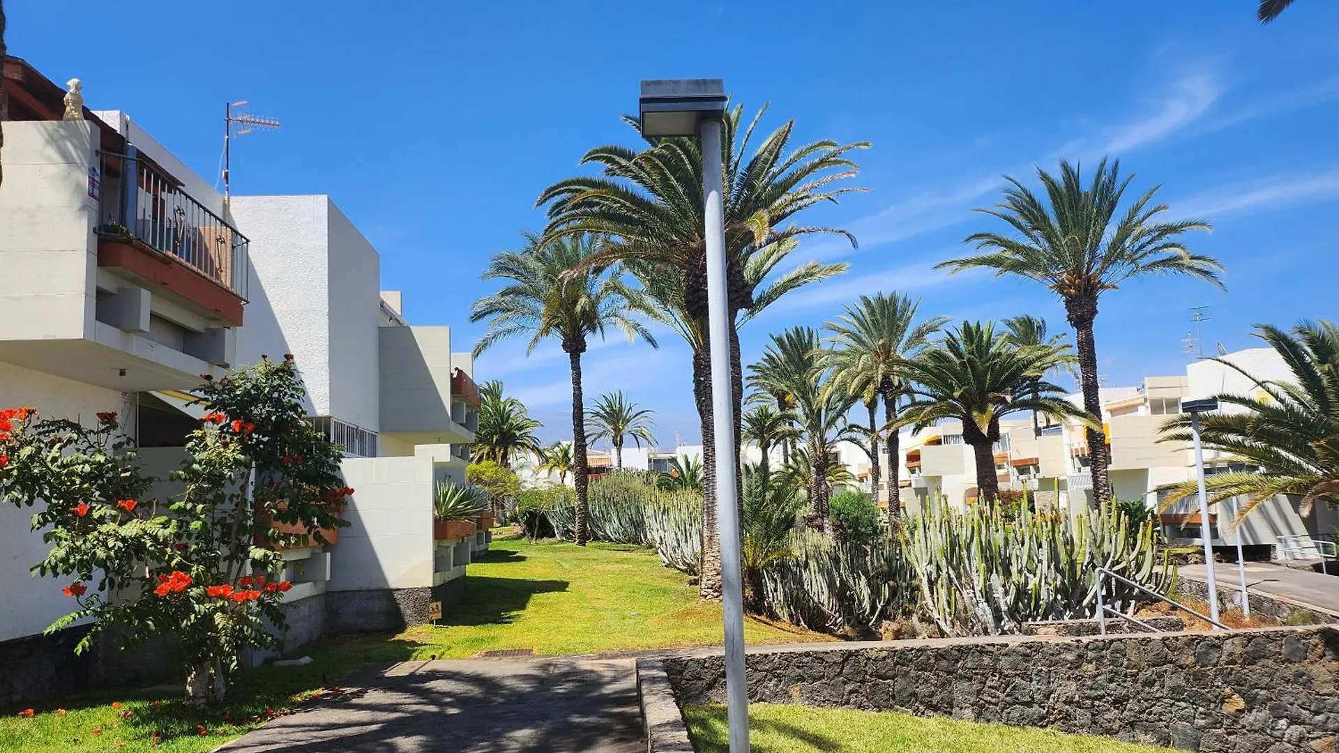 Tenerife Sunshine South Apartment Beach By La Ballena Arona