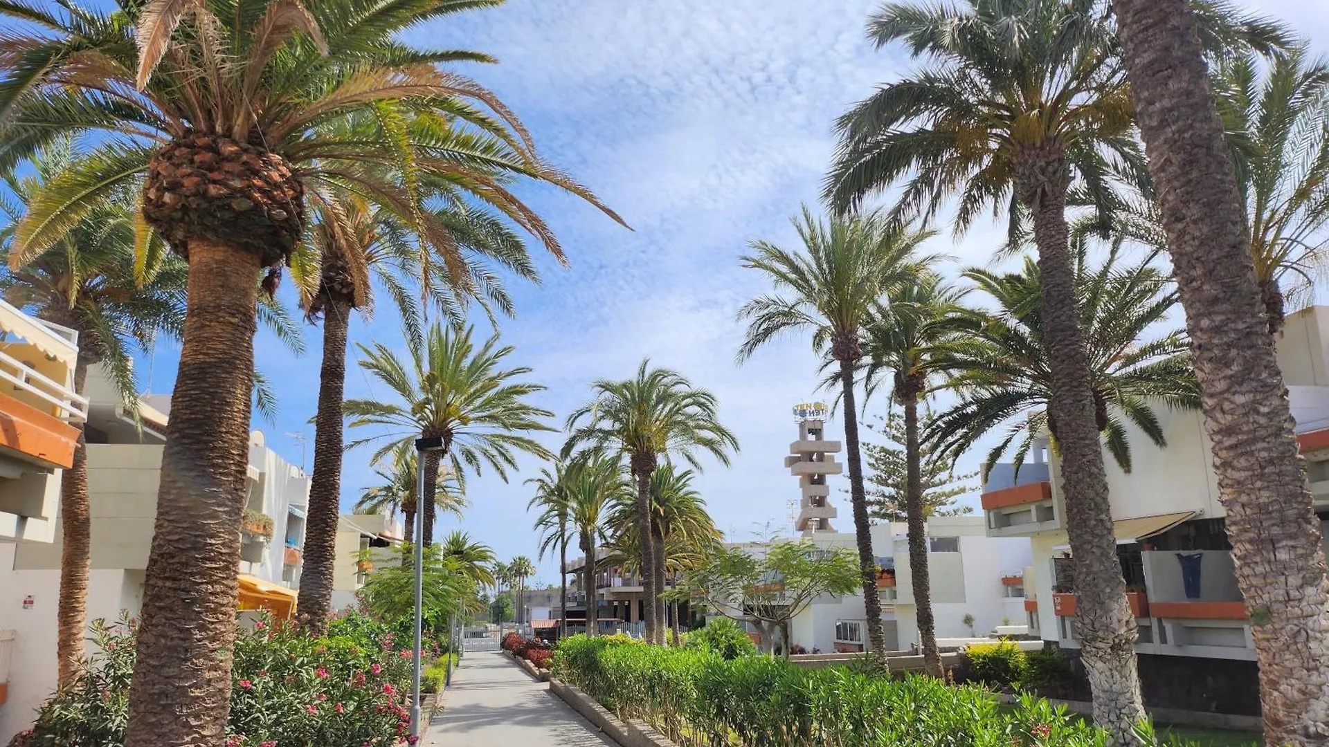 Tenerife Sunshine South Apartment Beach By La Ballena Arona  Spain