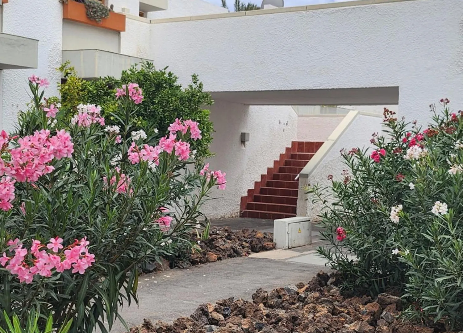Tenerife Sunshine South Apartment Beach By La Ballena Arona