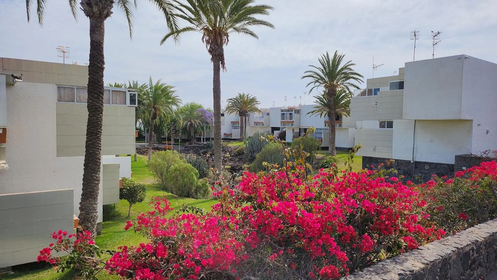 Tenerife Sunshine South Apartment Beach By La Ballena Arona  Spain